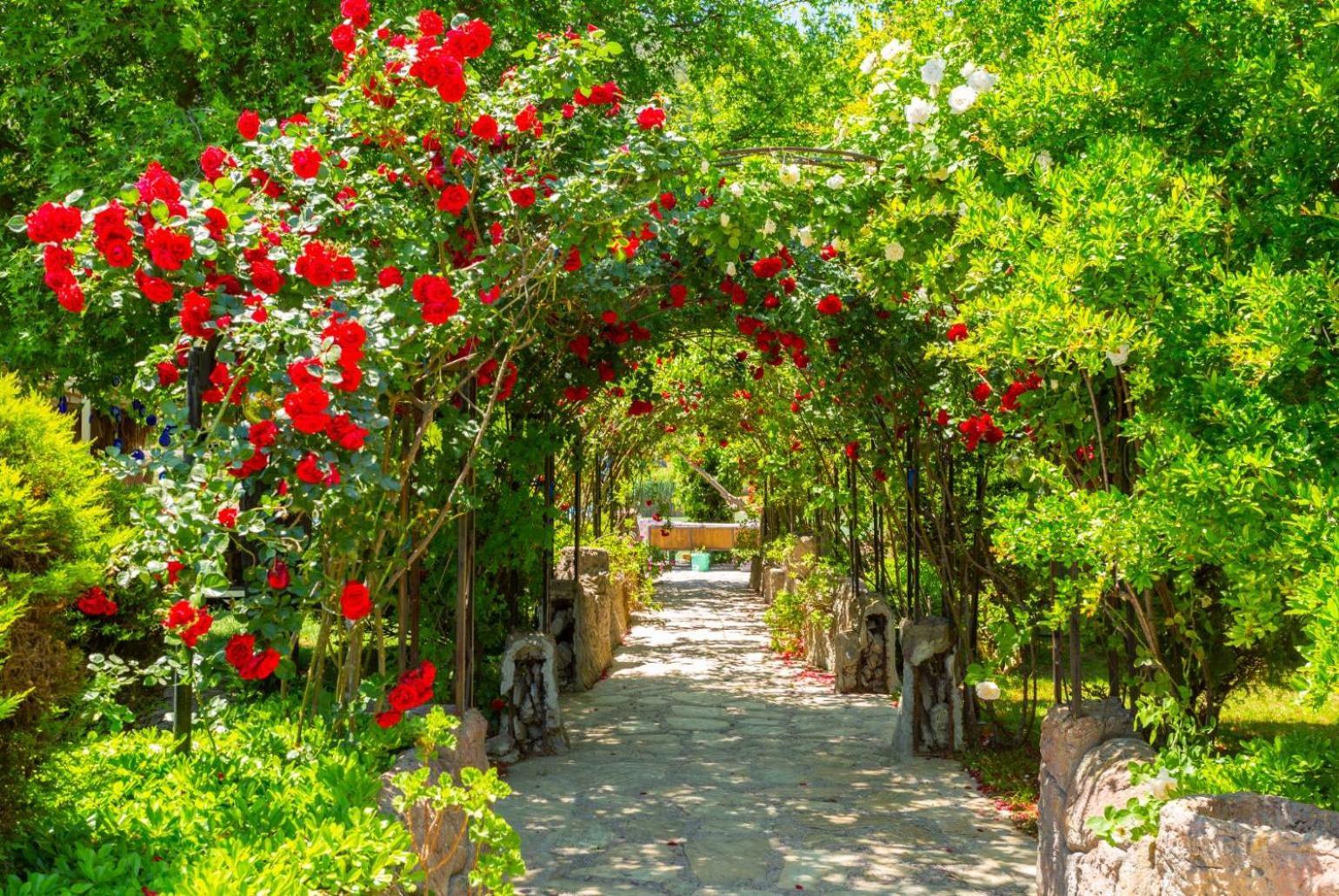 Villa Elmas Paradise Дальян Экстерьер фото